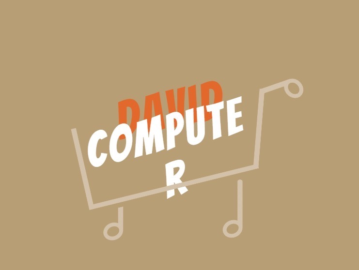 David electronics store